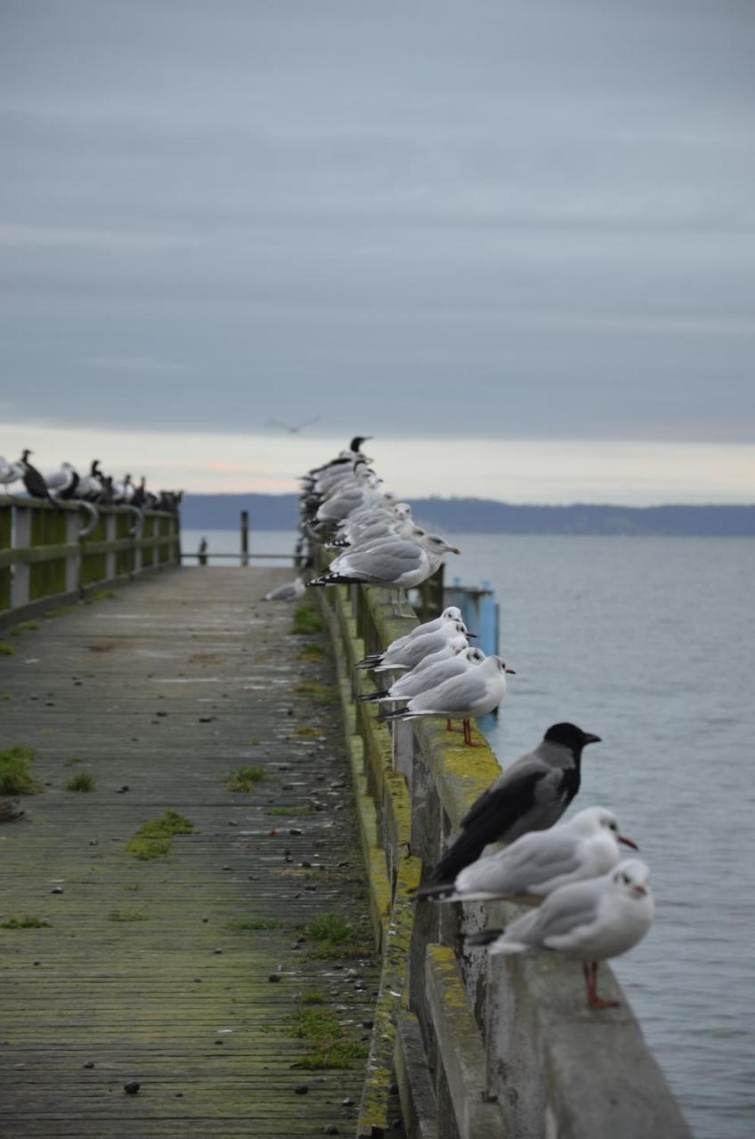 Fewo Meerestraum Sassnitz Exteriér fotografie